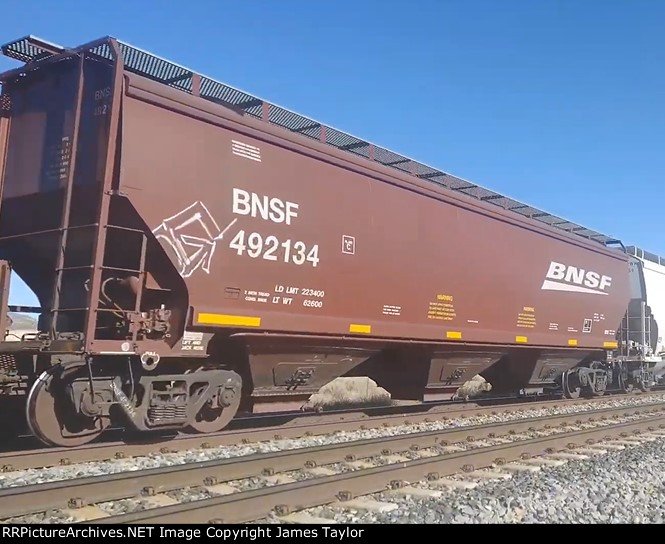 BNSF 492134